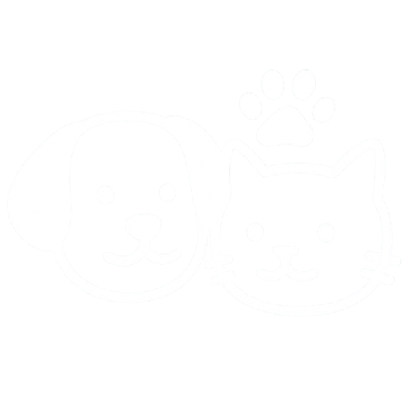 E&R Strategic Advisors 